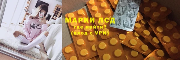 apvp Алзамай