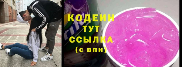 индика Абаза