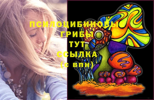 apvp Алзамай