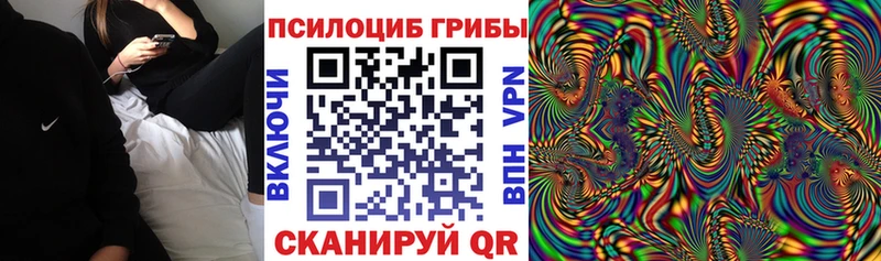 Псилоцибиновые грибы прущие грибы  Тюкалинск 